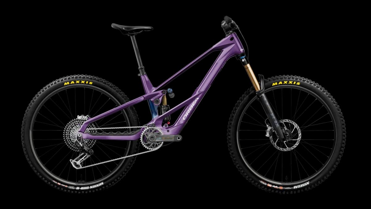 Wild LT M-LTD RS Royal Plum-Noctiluca C.View (Gloss)