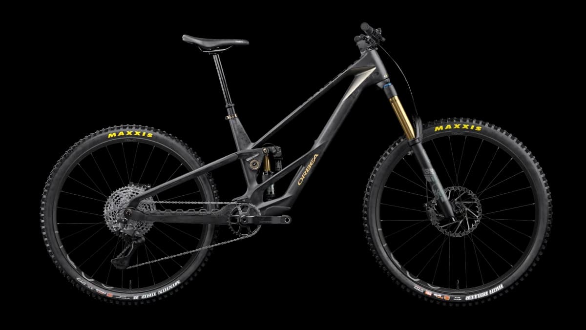 Rallon RS-LTD Mullet Fuel Carbon View - Magic Gold (Matt)