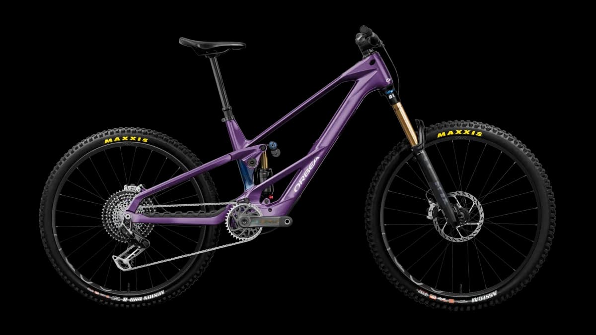 Wild LT M-LTD RS Mullet Royal Plum-Noctiluca C.View (Gloss)