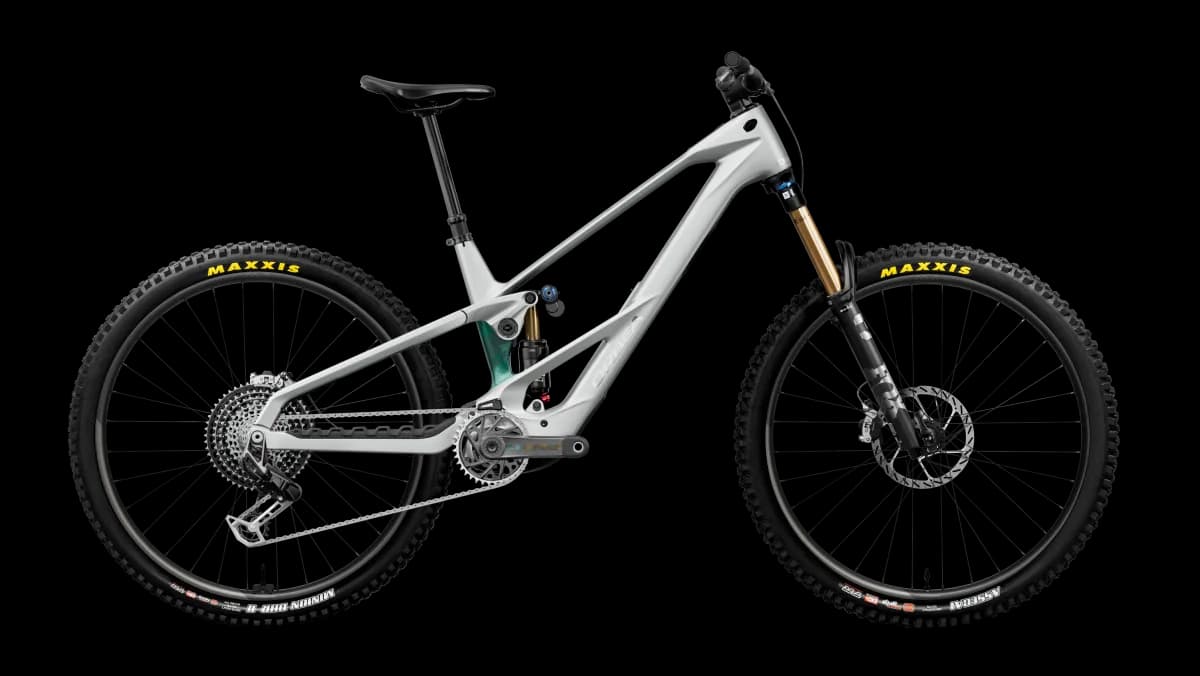 Wild LT M-LTD RS Smooth Silver (Matt) - Escape Green C. View (Gloss)