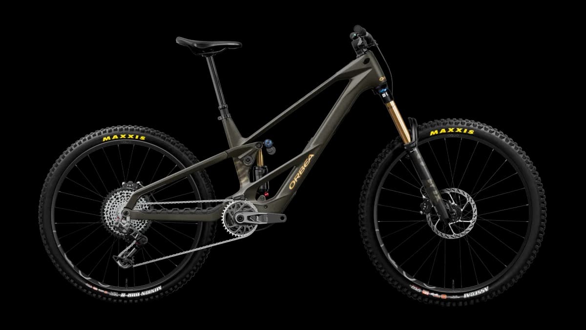 Wild LT M-TEAM RS Mullet Magic Gold C. View (Matt) - Titan Gold (Gloss)