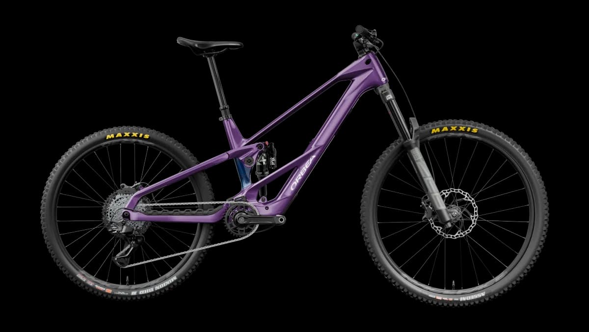 Wild LT M20 Mullet Royal Plum-Noctiluca C.View (Gloss)