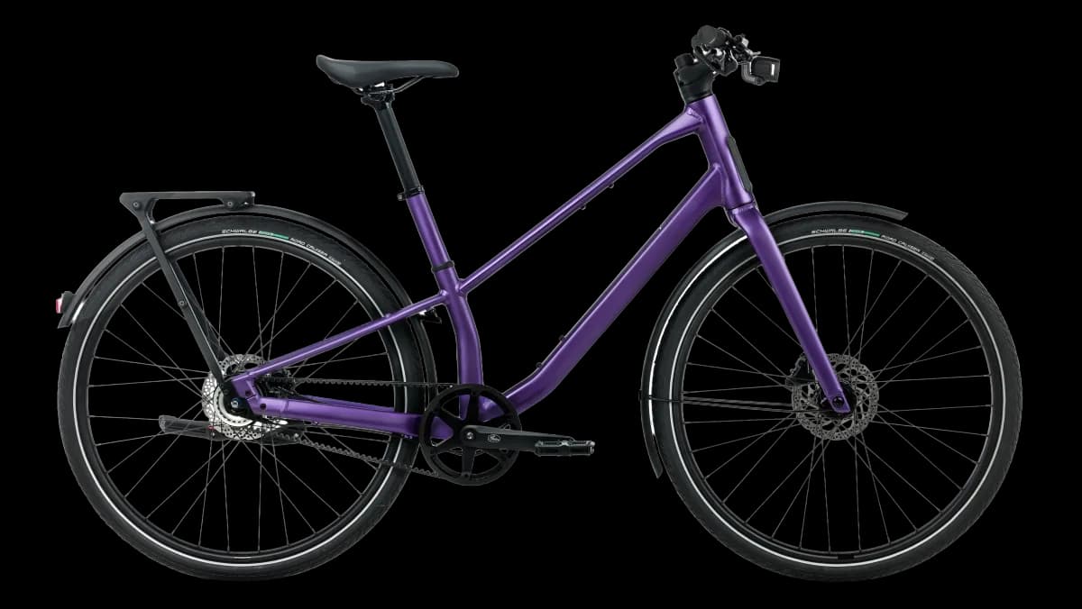Vector 10 Royal Plum (Matt)