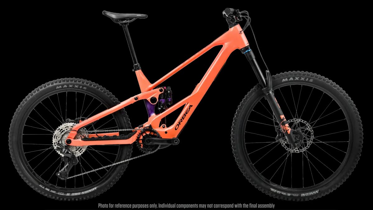 Wild LT H10 Mullet Wild Orange -Royal Plum (Gloss)