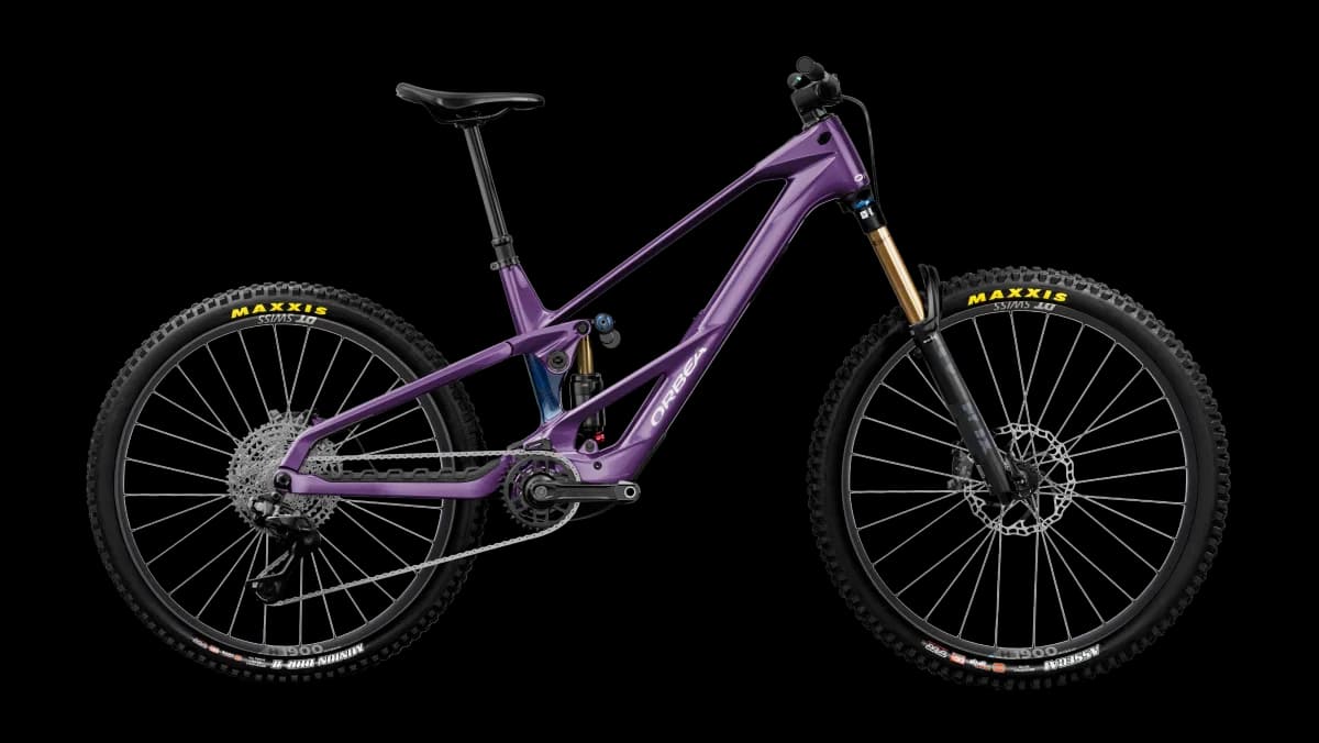 Wild LT M10 Mullet Royal Plum-Noctiluca C.View (Gloss)
