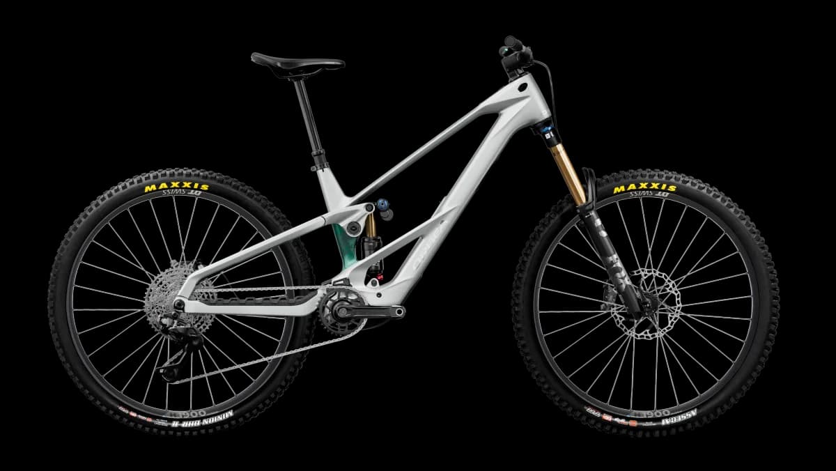 Wild LT M10 Smooth Silver (Matt) - Escape Green C. View (Gloss)