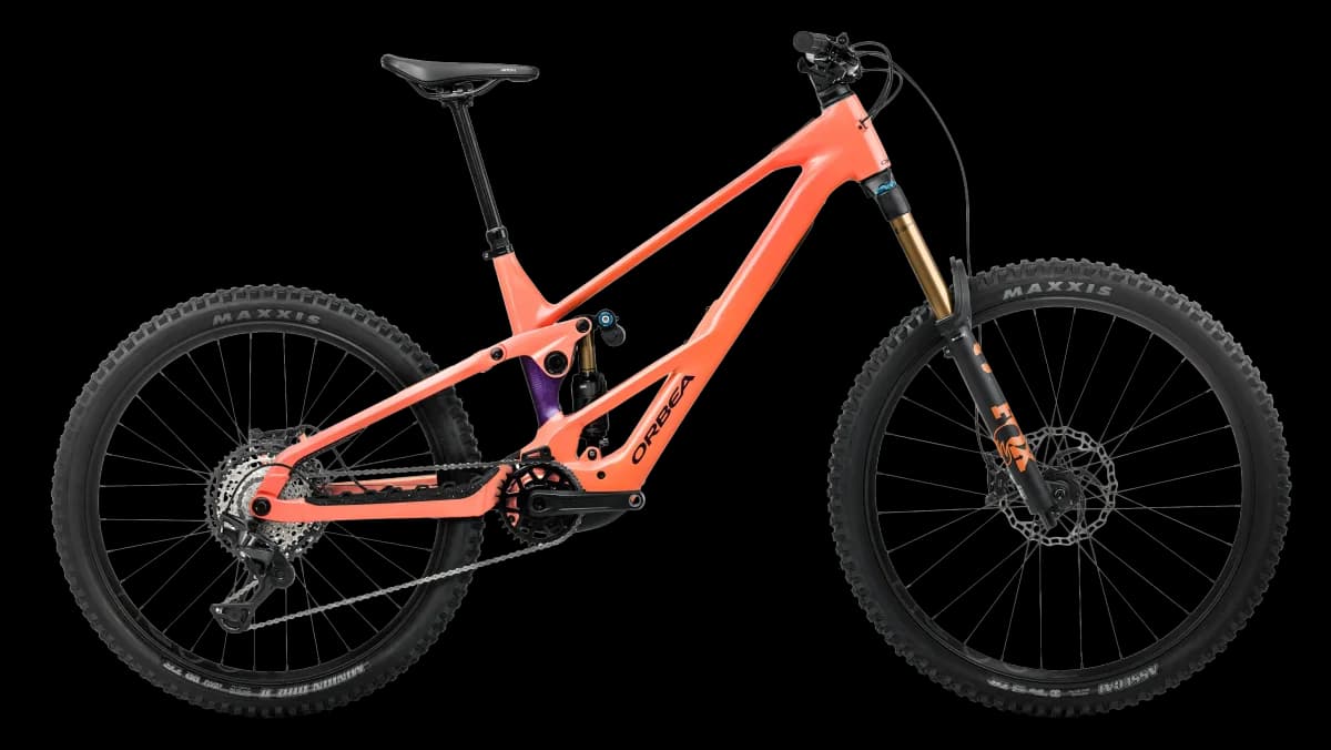 Wild LT H-TEAM Mullet Wild Orange -Royal Plum (Gloss)