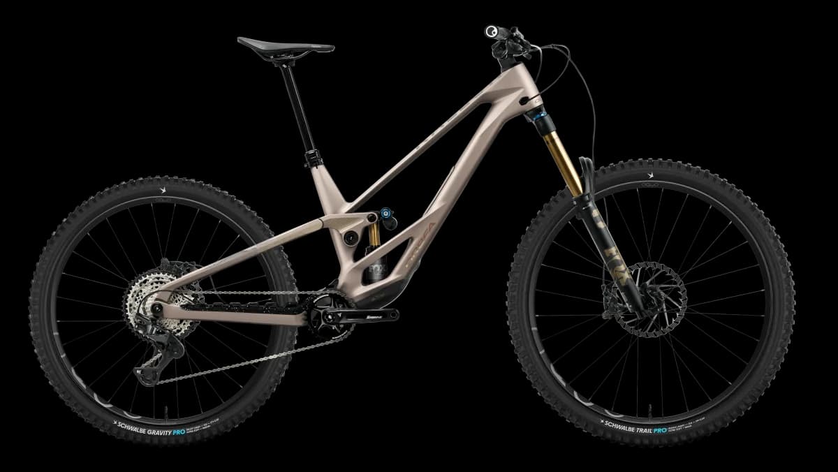 Rallon E-TEAM Nickel (Matt) - Nickel Chrome (Gloss)