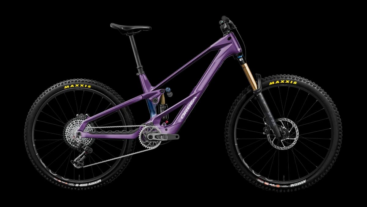 Wild LT M-TEAM RS Mullet Royal Plum-Noctiluca C.View (Gloss)