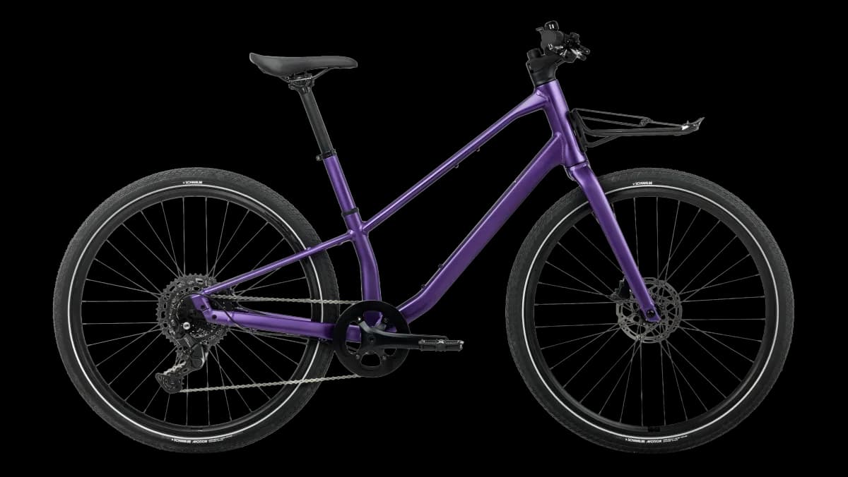 Vector 25 Royal Plum (Matt)