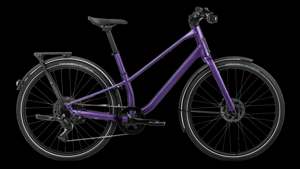 Vector 20 Royal Plum (Matt)